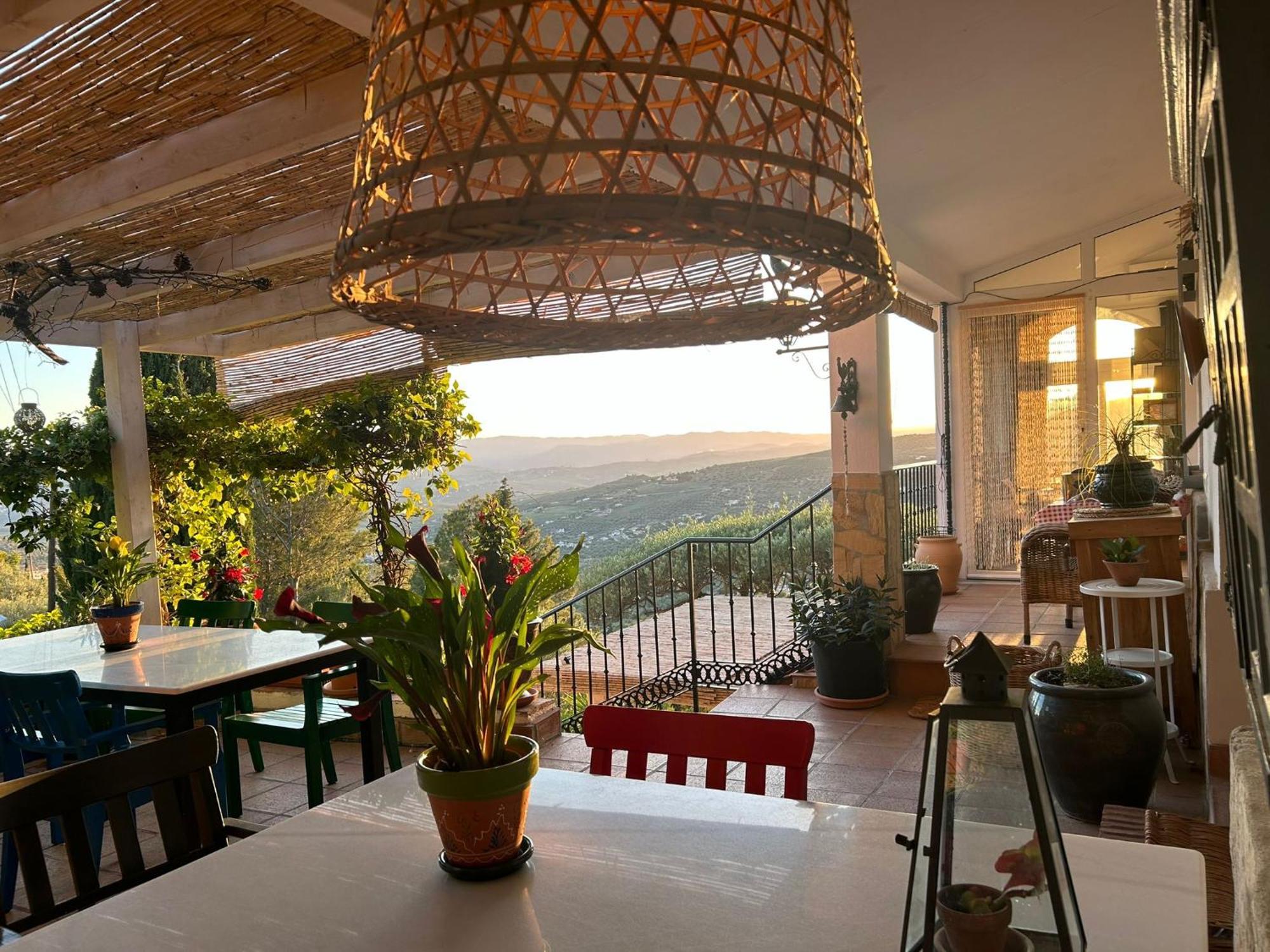 Bed & Breakfast El Nispero Dulce